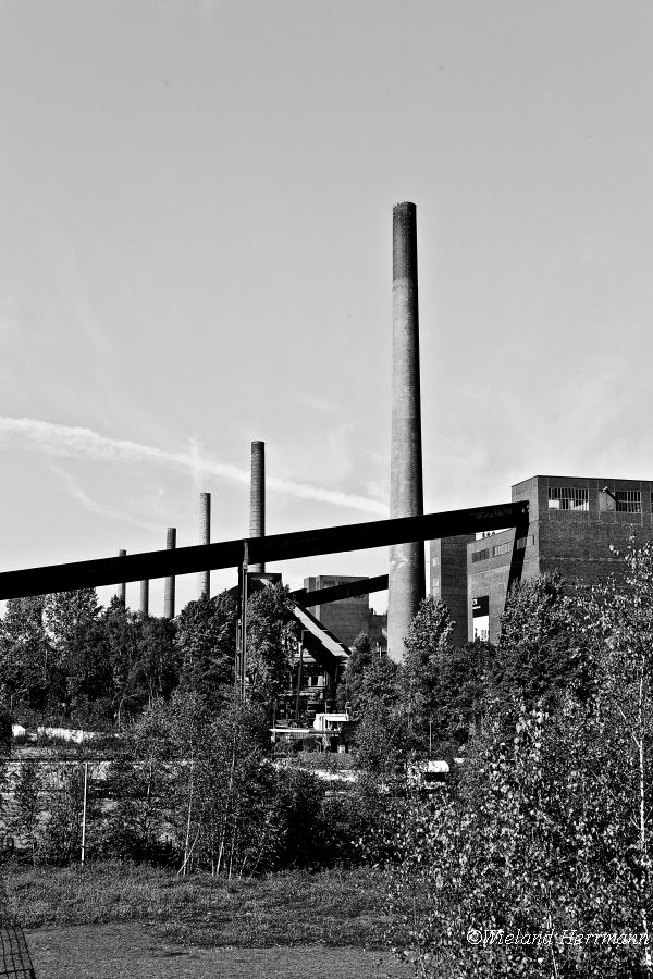 Kokerei Zollverein_01